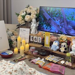 宠物家长客户见证